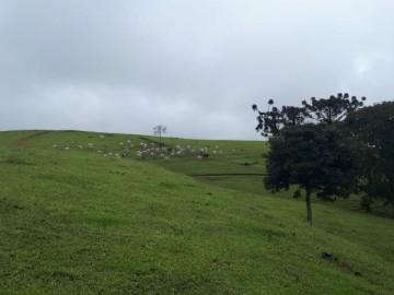 Fazenda  Venda